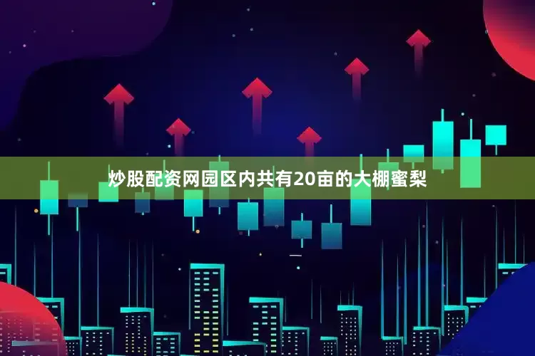炒股配资网园区内共有20亩的大棚蜜梨